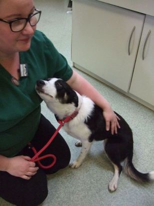Off to the Vets