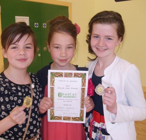 p7 feis
