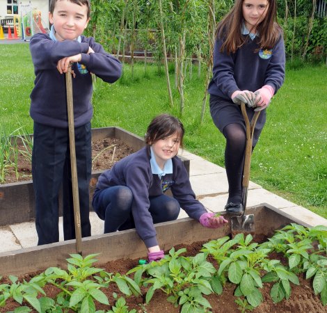 gardening