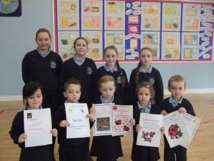 Bug Club Certificates