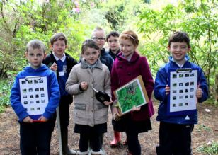 Maths Trail 