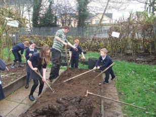 Winter Gardening