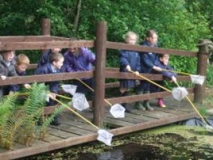 Mrs Hamill's class recently went to Parkanaur to 'explore habitats'.