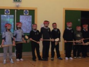 Hurling After School Coaching