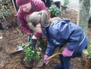 Planting in Henderson Park 