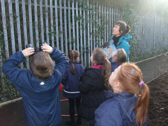 Pupils bird watching