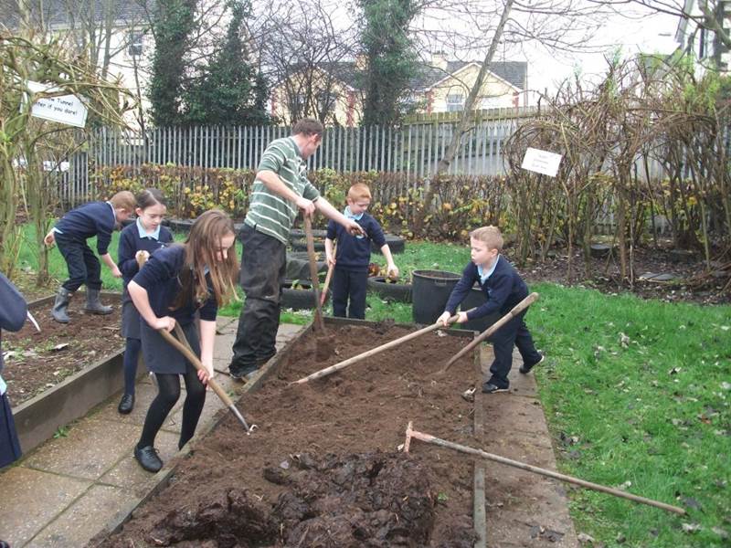 Winter Gardening