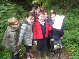 Tuesday's Forest Trail