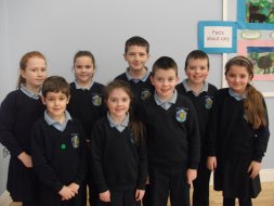 Panto Stars 