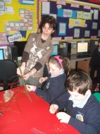 St Brigid's Day