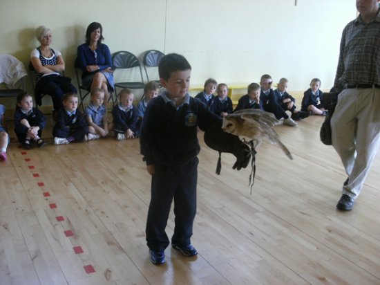 Pupil with bird