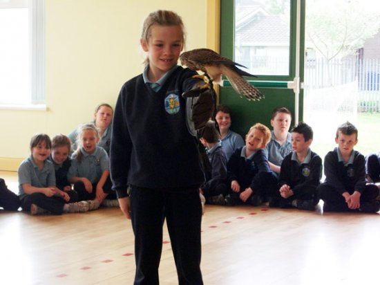 Pupil with bird