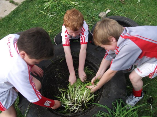 Pupils gardening