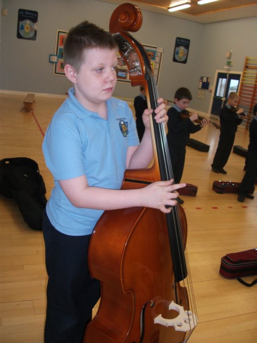 Double Bass